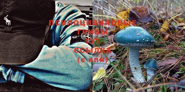 не бодяженный Алексин