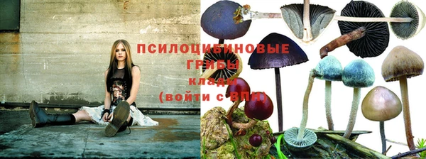 не бодяженный Алексин