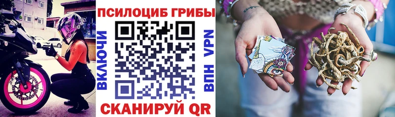 Псилоцибиновые грибы мицелий  Купить  Петровск-Забайкальский 
